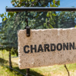 Wines Similar To Chardonnay: 6 Alternatives To Choose From