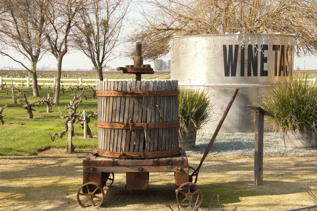 What Is Wine Pressing? [A Guide] 