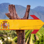 What are Tempranillo Wines: A Comprehensive Guide to Spain's Signature Grape