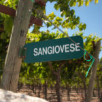 Sangiovese Wine: Your Guide To Taste, Origins, and Serving